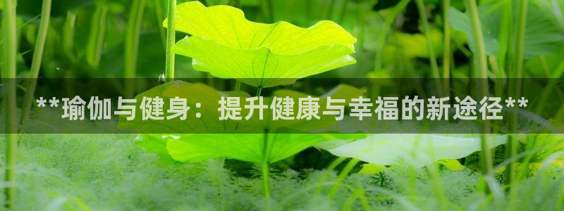 龙8老虎机游戏网站多少