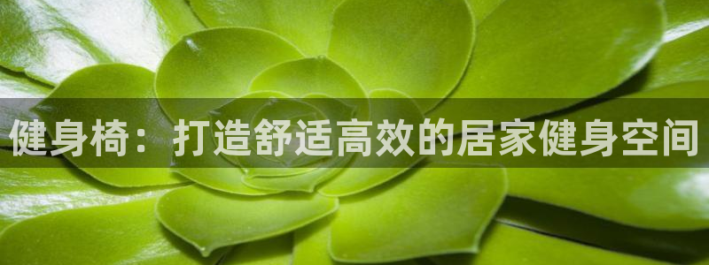 龙8游戏客户端