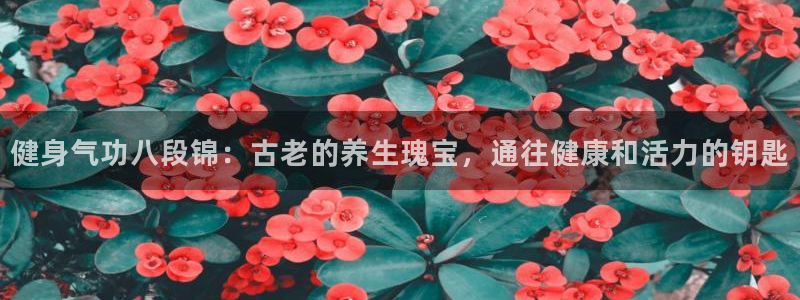 国际龙8官网pt客户端下载