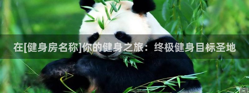 龙8国际开户