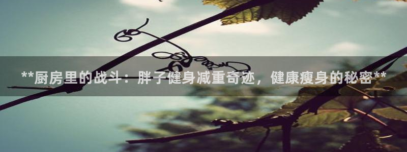 龙8国际黑吗