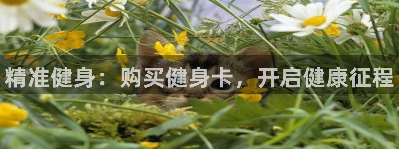 龙八国际app下载客户端