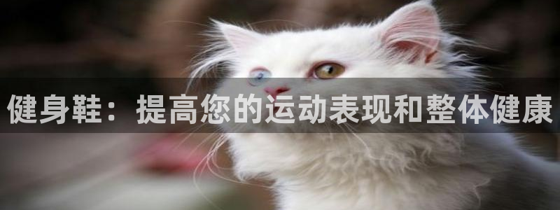 龙8国际服