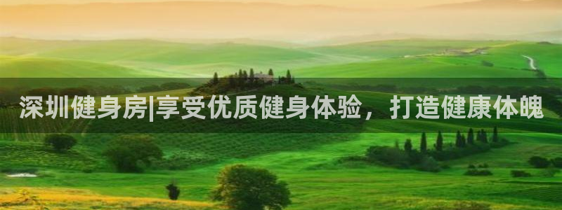 龙8国际龙8官方