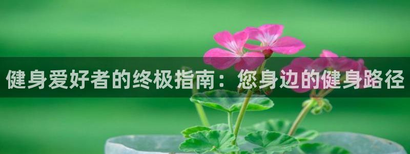 龙8国际龙8客户端