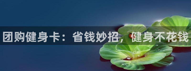 龙8国际官网手机登录