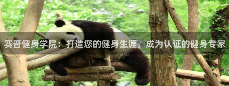 龙8国际官网-点此进入