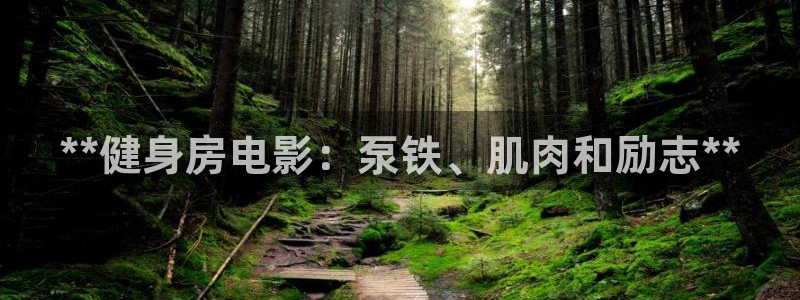国际龙8官网pt客户端