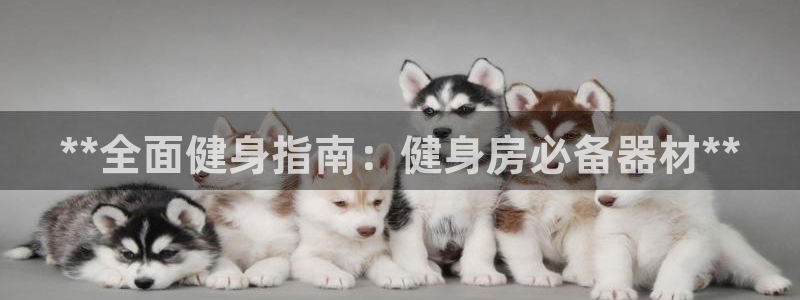 龙8国际官网 点此进入游戏