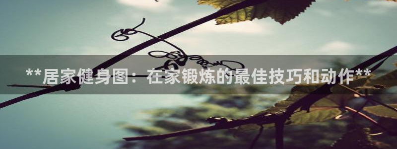 龙8游戏平台的网站