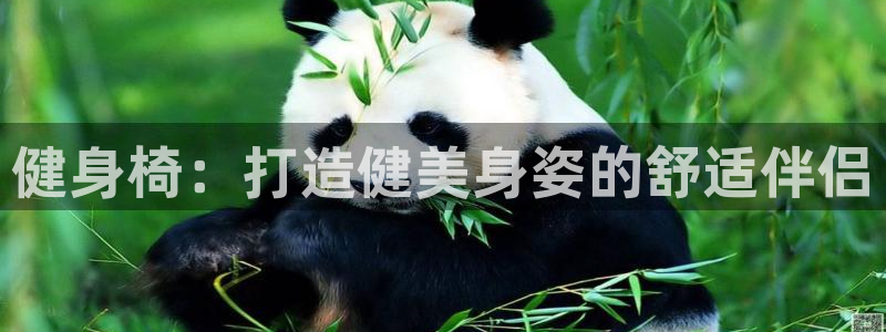 下载龙八国际