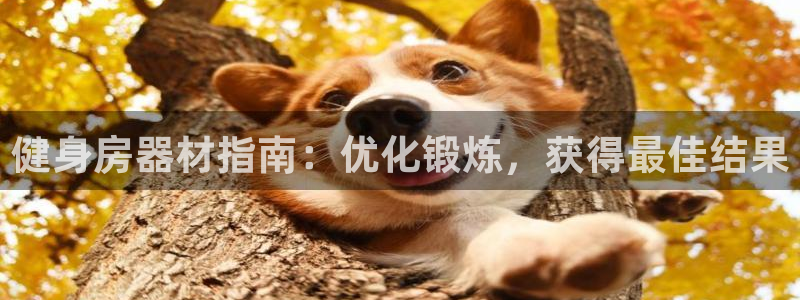 龙8国际2021官方网站pkufli5.10