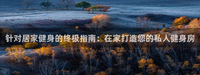 龙8国际平台