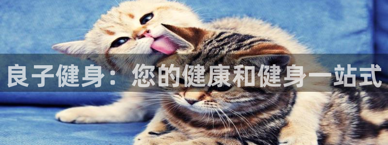龙八国际app下载客户端