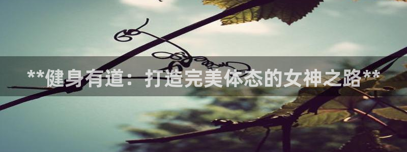 国际龙8唯一登陆