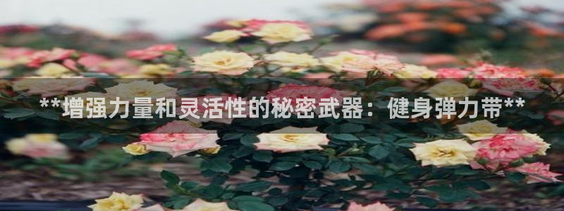 龙八国际登录