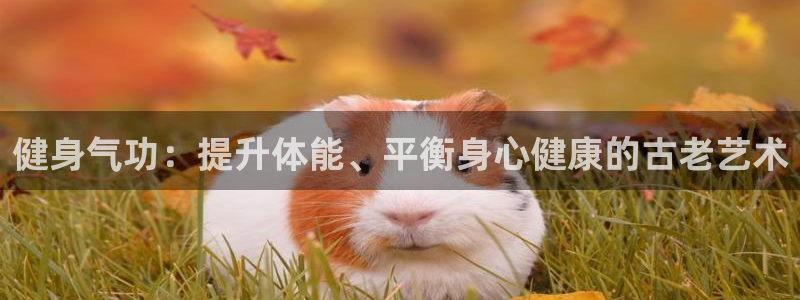 龙8国际app下载客户端