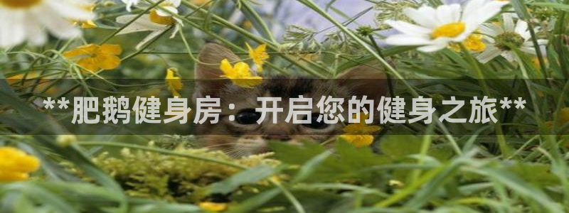 龙8国际游戏娱乐