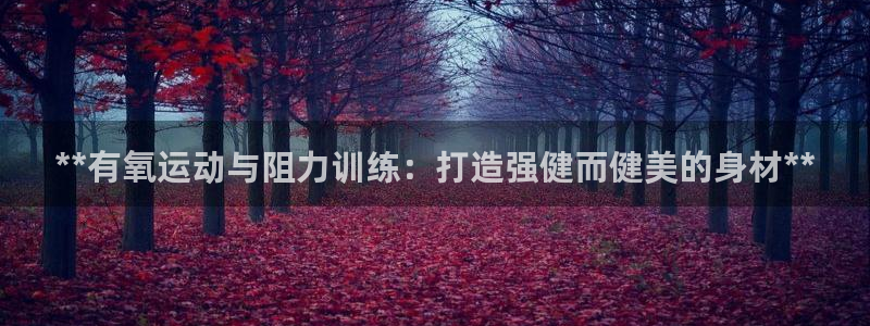 龙8国际-我的