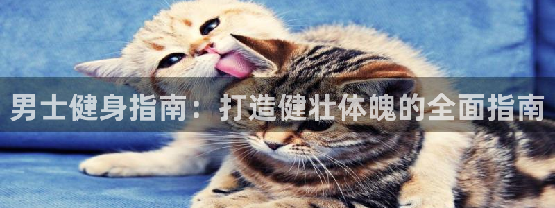 龙8国际官网-点此进入