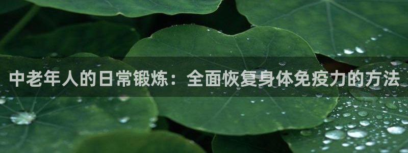 龙八国际服官网站