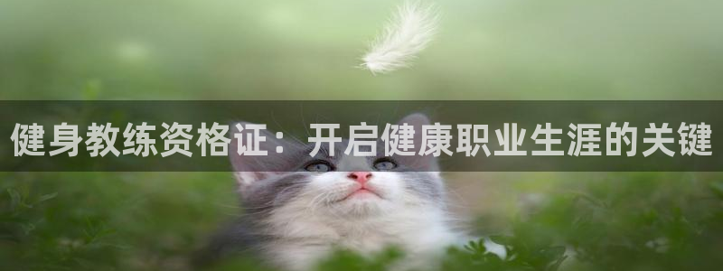 龙8国际手机官网下载安装