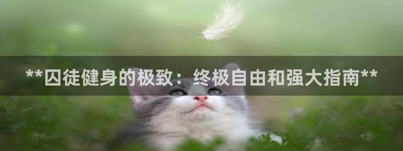 龙八国际下载官网平台