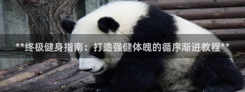 龙8国际pt网址