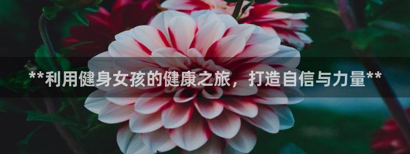 龙8国际手机版app