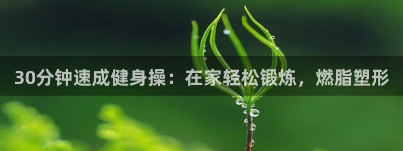 龙8国际的漏洞
