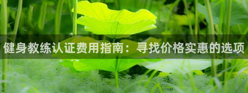 龙8国际网站是多少