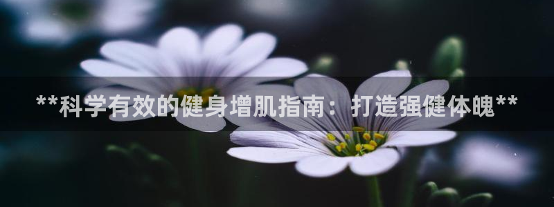 龙8国际平台