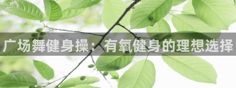 龙8国际官方网站龙8国际pt老虎机
