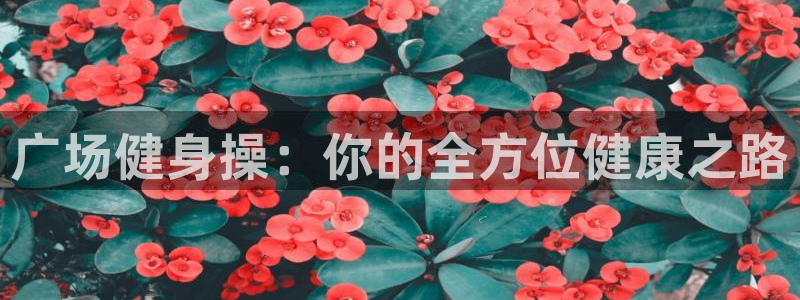 龙8官网游戏