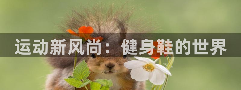 龙8国际游戏官方进入的介绍