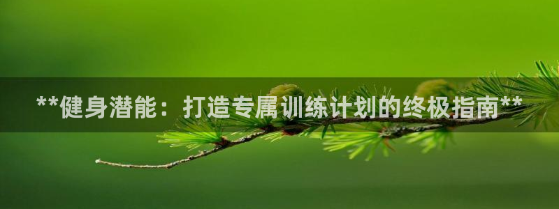 龙8国际官网版手机版