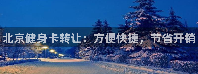 龙八国际pt