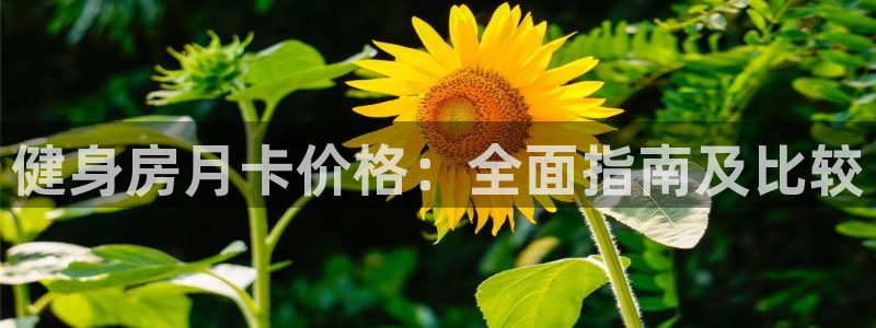 龙八国际娱乐网页多少