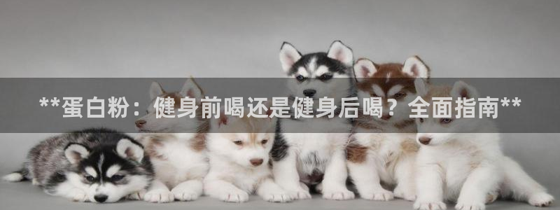 龙8国际平台提款被黑
