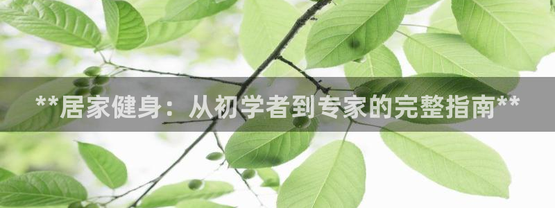 龙8国际安卓版