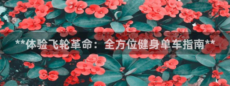 国际龙8唯一登陆
