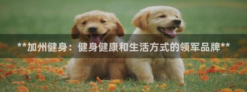 国际龙8官网pt客户端