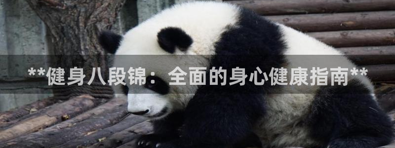 国际龙8官方网站