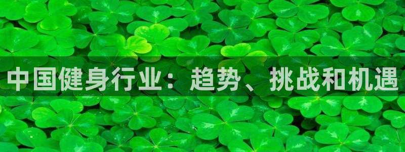 龙8国际pt官方网址