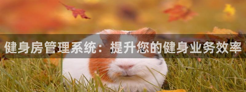 龙8老虎机手机版