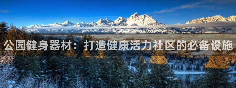 龙8国际手机版官网