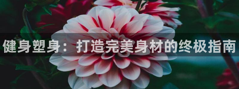 龙8国际棋牌
