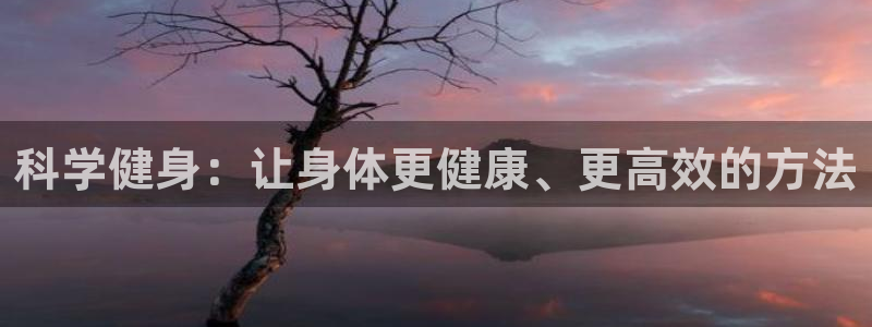 龙8国际首页