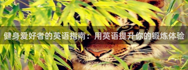 龙8娱乐国际城