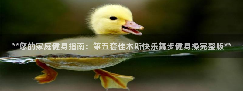 龙8国际手机登